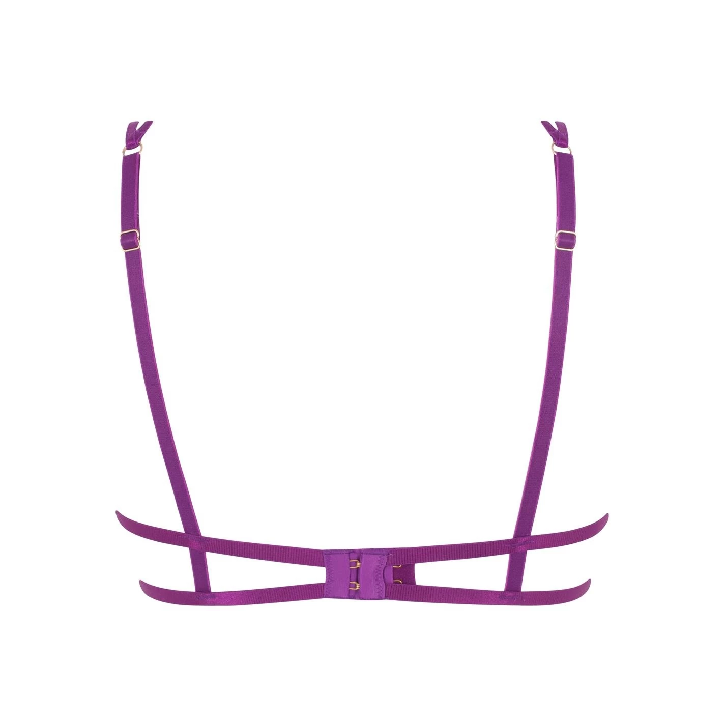 Bluebella Audrey Bra 4 Bluebella Audrey Bra - Image 2