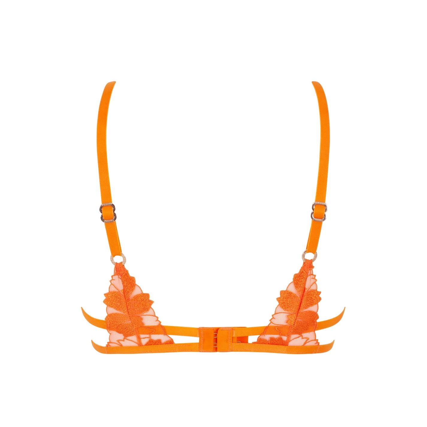 BLUEBELLA Colette Bra 4 BLUEBELLA Colette Bra - Image 2